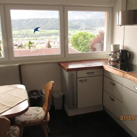 Mountain View Apartment